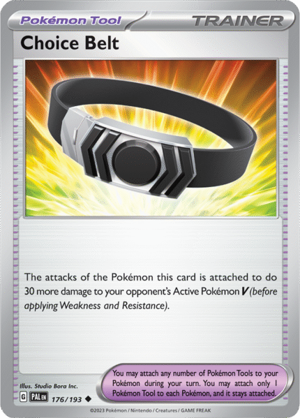 Choice Belt 176/193